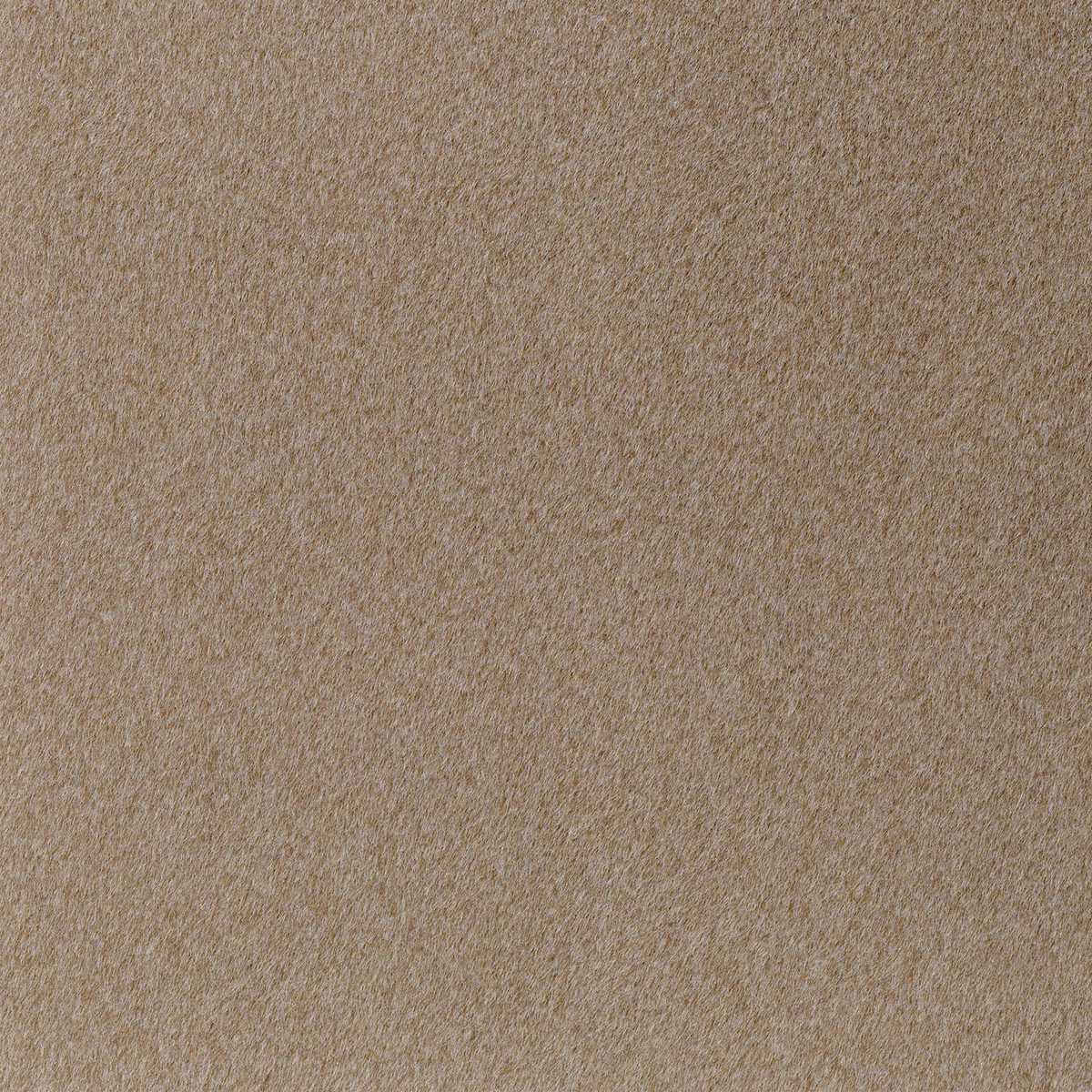 Warm fawn-taupe textile swatch with a softly brushed, subtly mottled surface