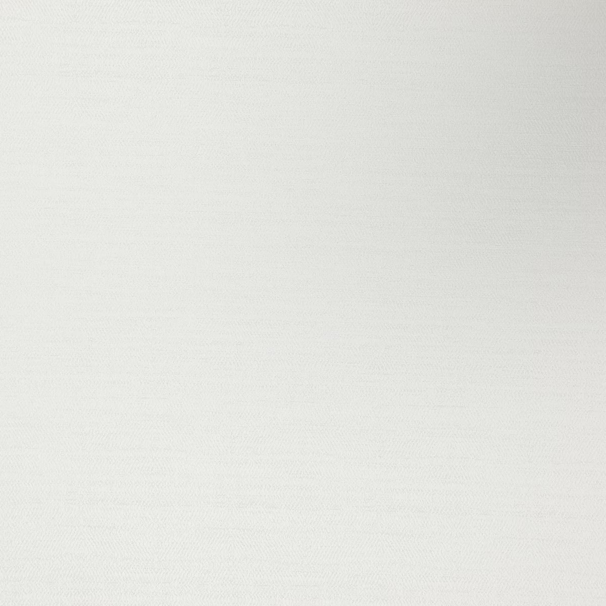 Cool winter-white plain weave with fine horizontal texture and softly matt surface