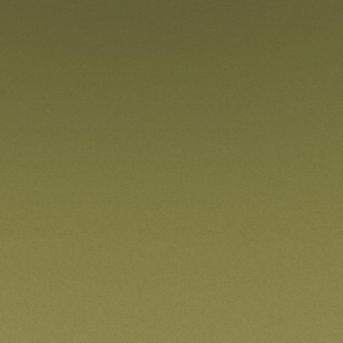 Muted olive-green plain weave with a softly textured, fine-grain surface