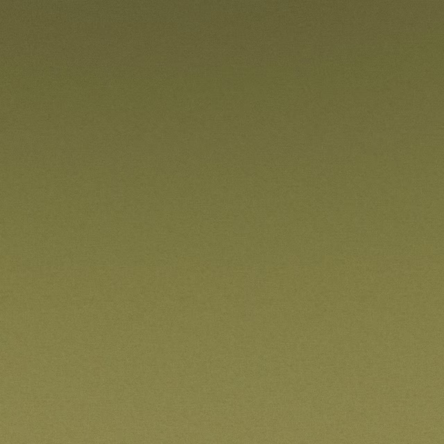 Muted olive-green plain weave with a softly textured, fine-grain surface