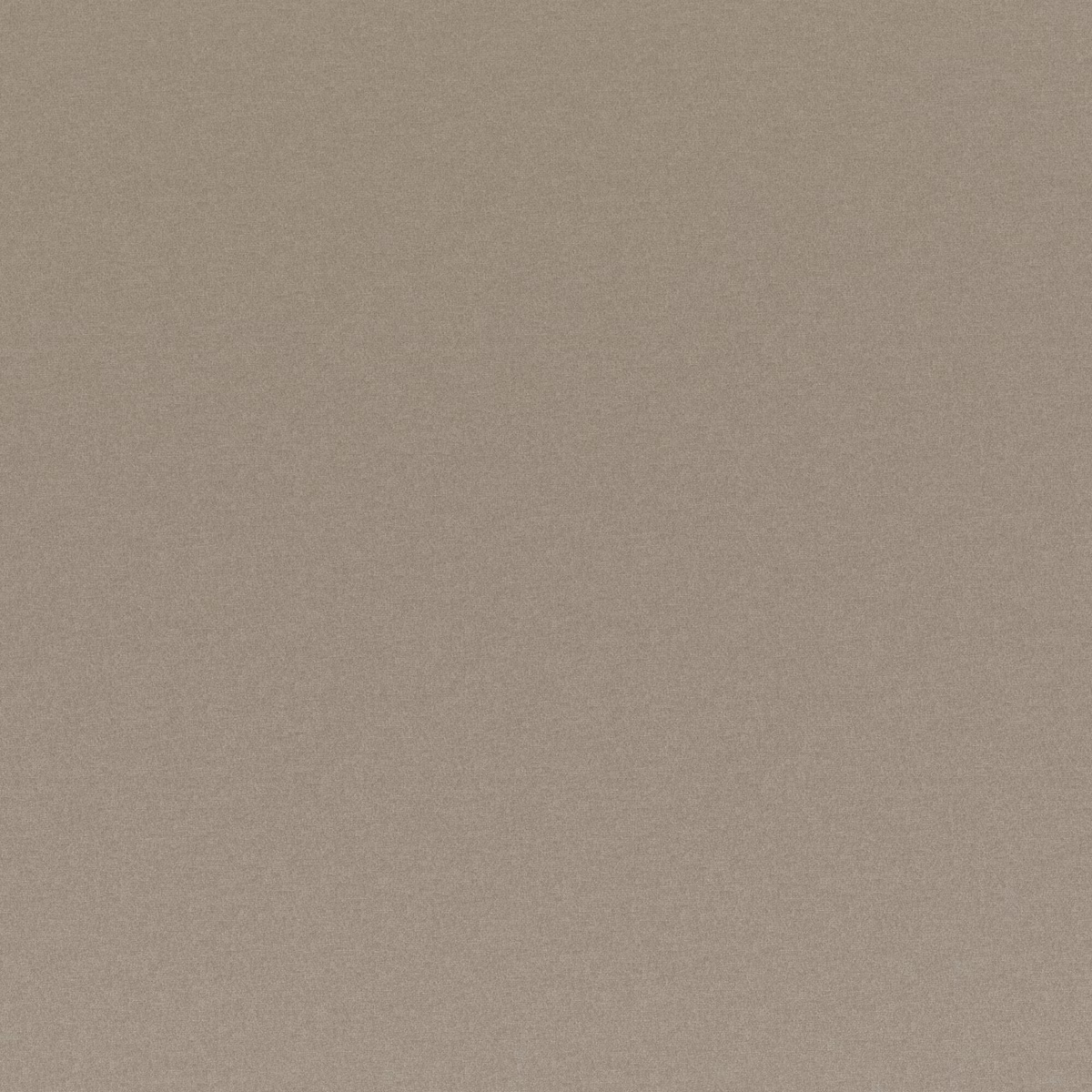 Warm fawn-taupe plain weave with a softly mottled, fine-grain surface