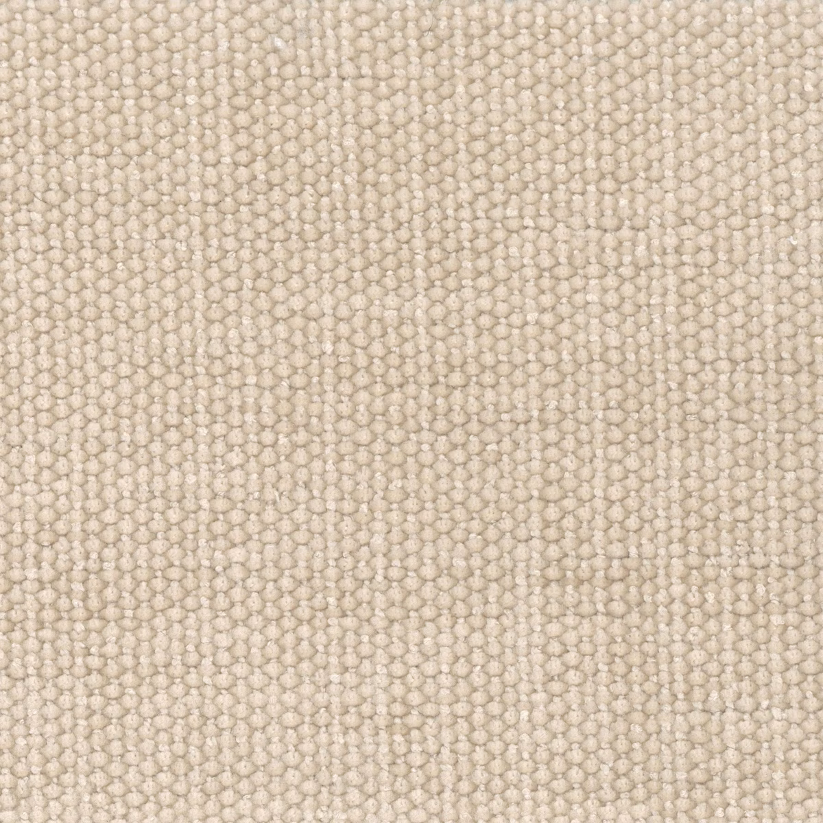 Pale warm-cream textile showing a small nubby looped weave in vertical ribs