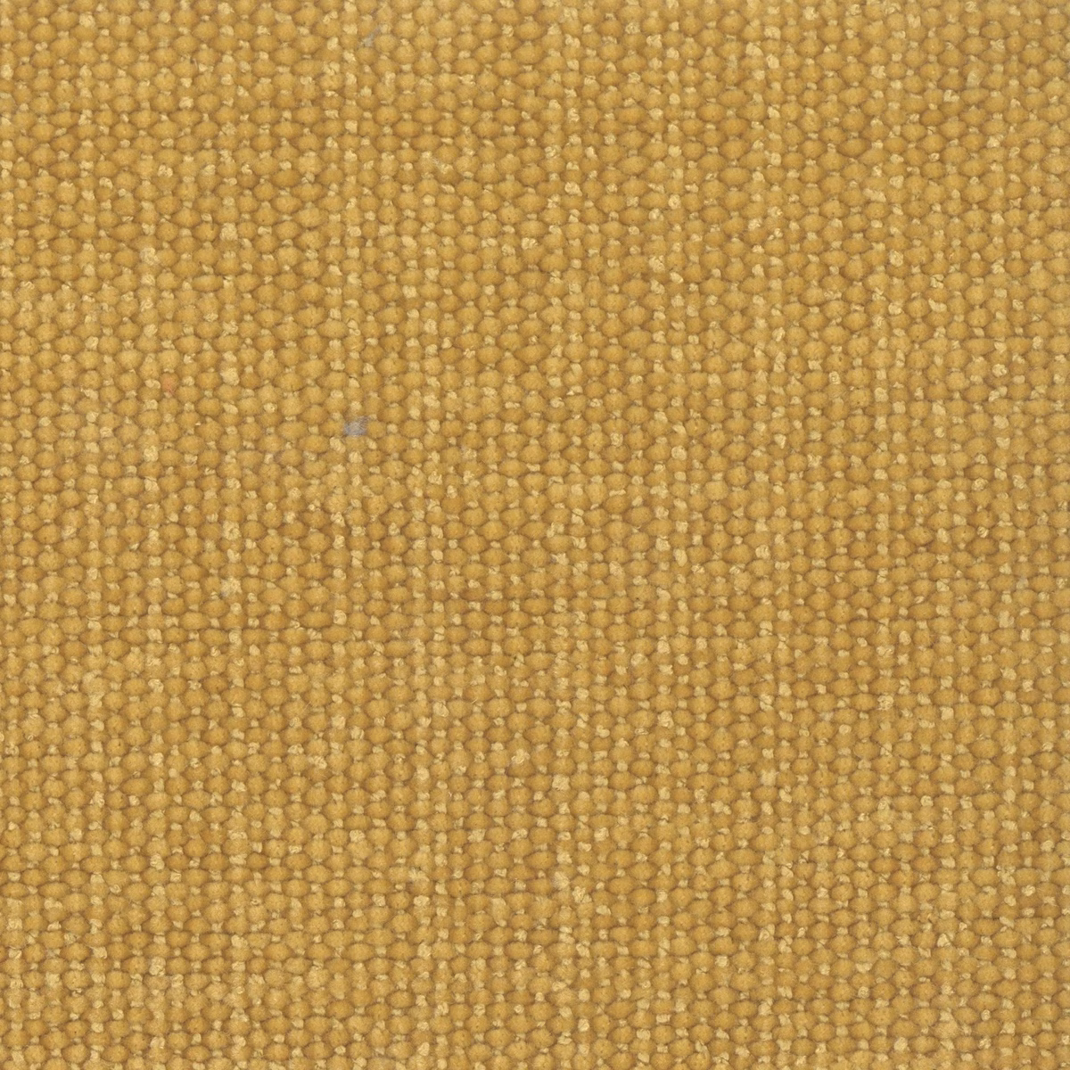 Warm ochre-gold nubby weave with small rounded slubs and vertical texture