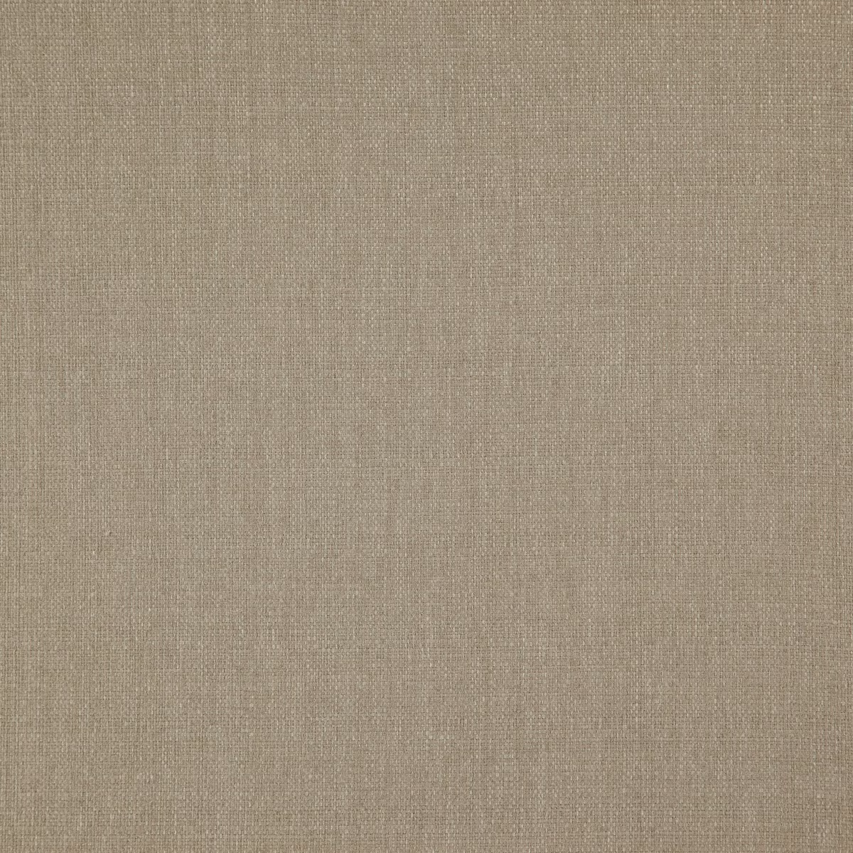 Close-up of Wemyss Rye 02 Taupe, showing a softly mottled fine taupe weave