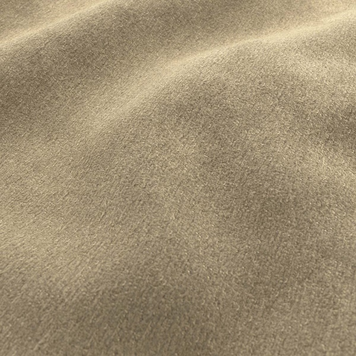 Close-up of muted khaki Teddy fabric showing short plush pile and tonal nap.