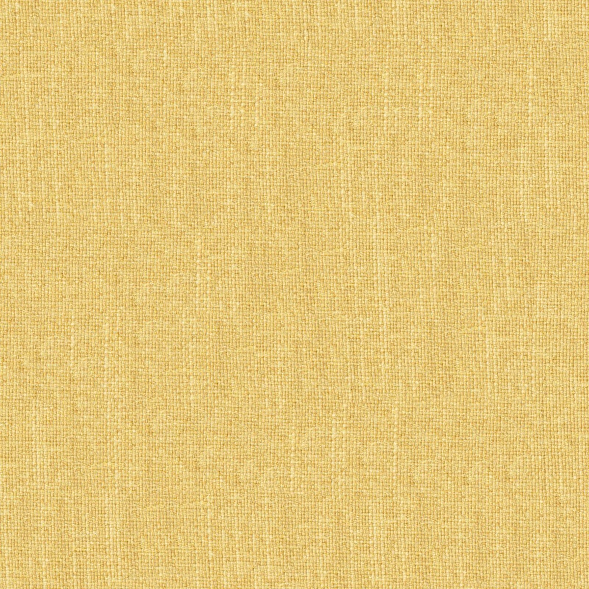 Close view of warm honey-gold plain weave with subtle vertical slubs