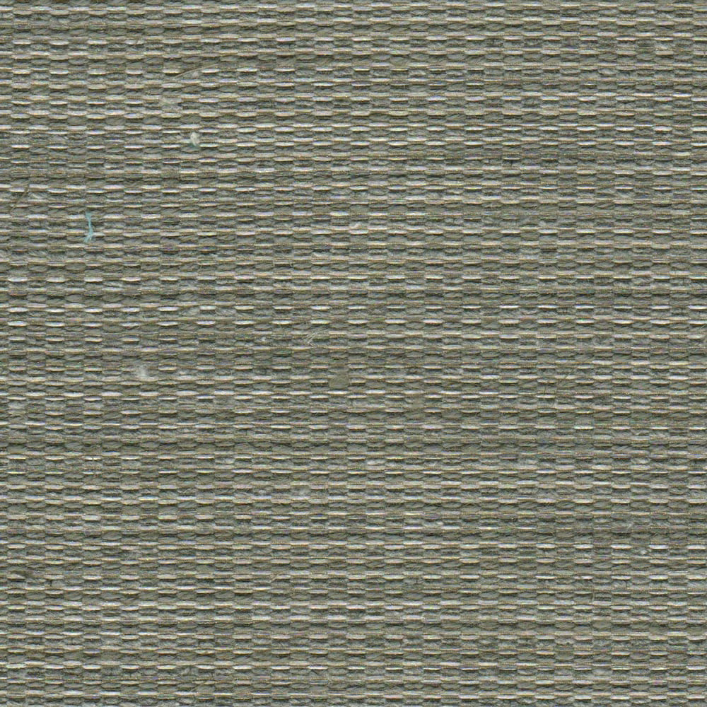 Close-up of Tierra 03 Flint showing mottled olive-grey weave and fine horizontal texture