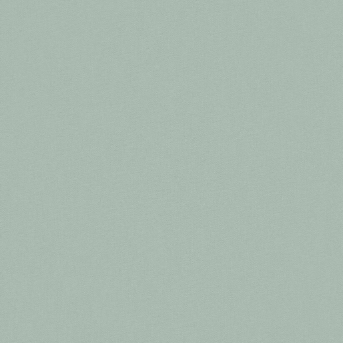 Pale spearmint green fabric with a softly mottled, matte surface