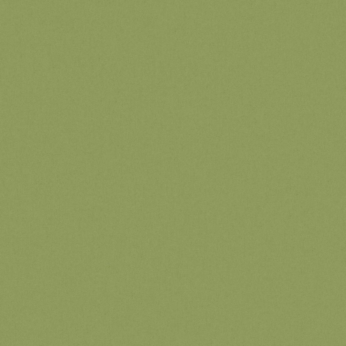 Muted apple-green plain weave with a softly grainy surface