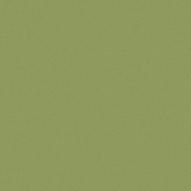 Muted apple-green plain weave with a softly grainy surface