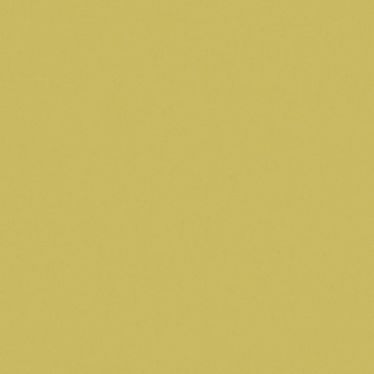 Muted citrus yellow textile with a softly grainy, uninterrupted surface