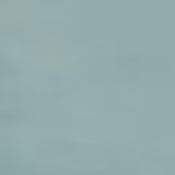 Dennise Sky fabric