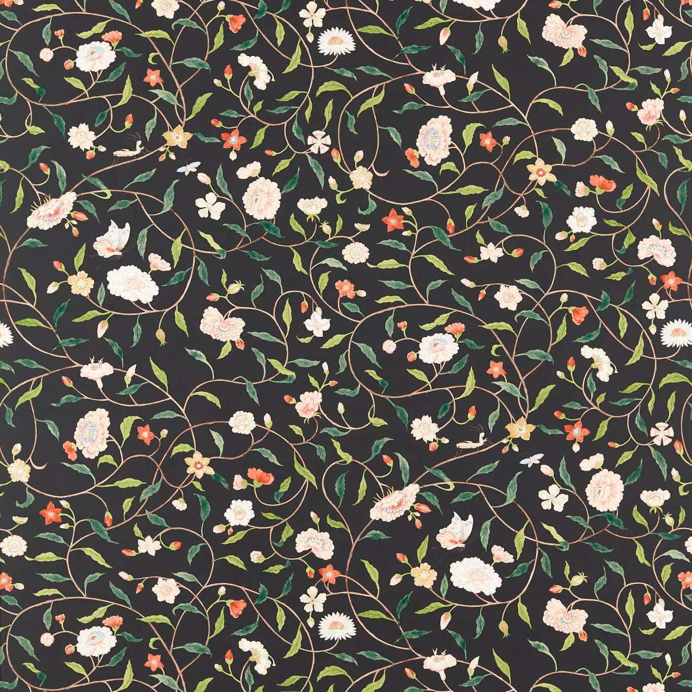 Charcoal-black wallpaper with looping green vines and ivory, blush and coral flowers