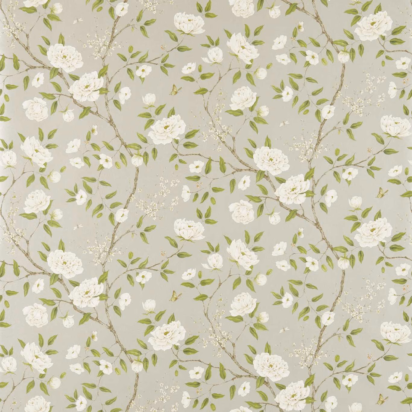 Pale silver-grey wallpaper with white flowers, sage leaves and branching stems