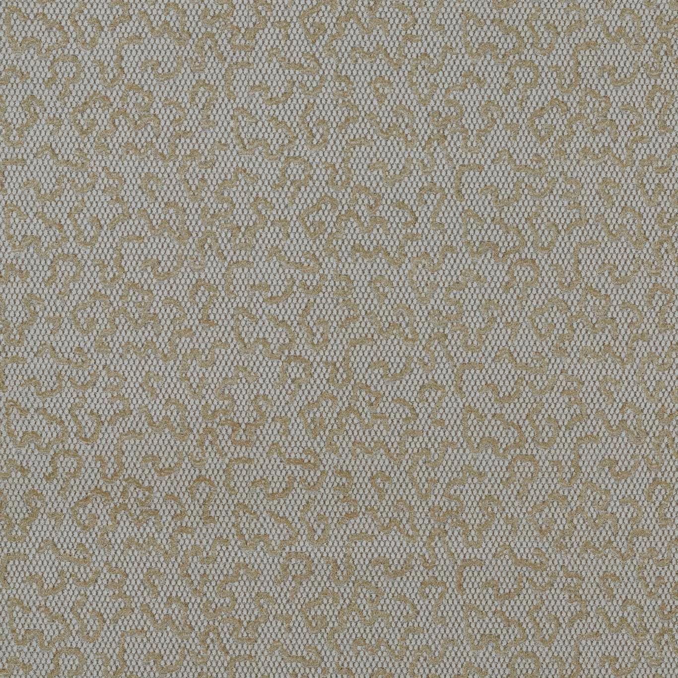 Pale greige velvet with muted taupe looping motif and fine textured pile