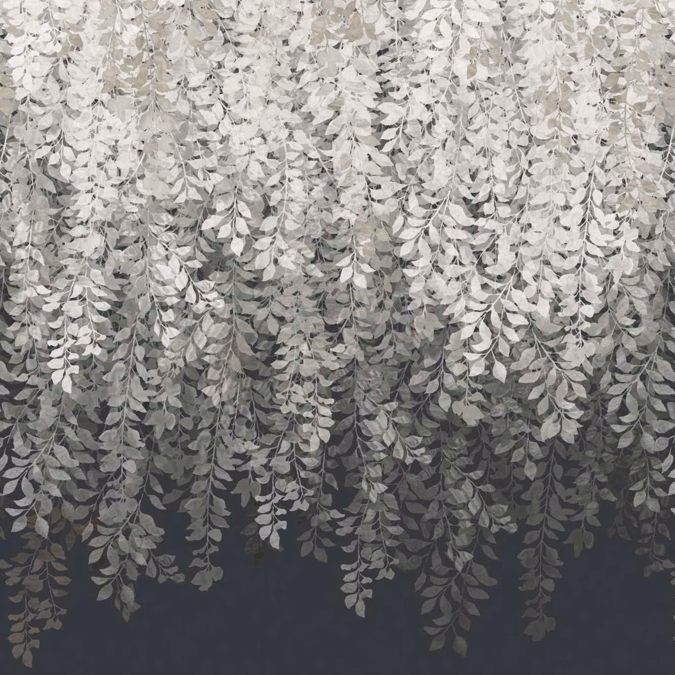 Silver-grey cascading vine leaves over a deep charcoal-black wallpaper ground