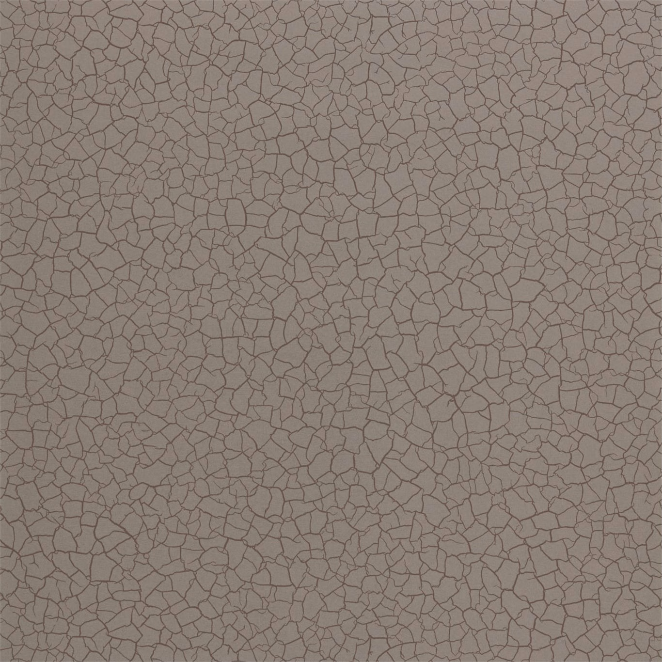 Muted taupe wallpaper with dense fine dark cracked-earth lines in close view