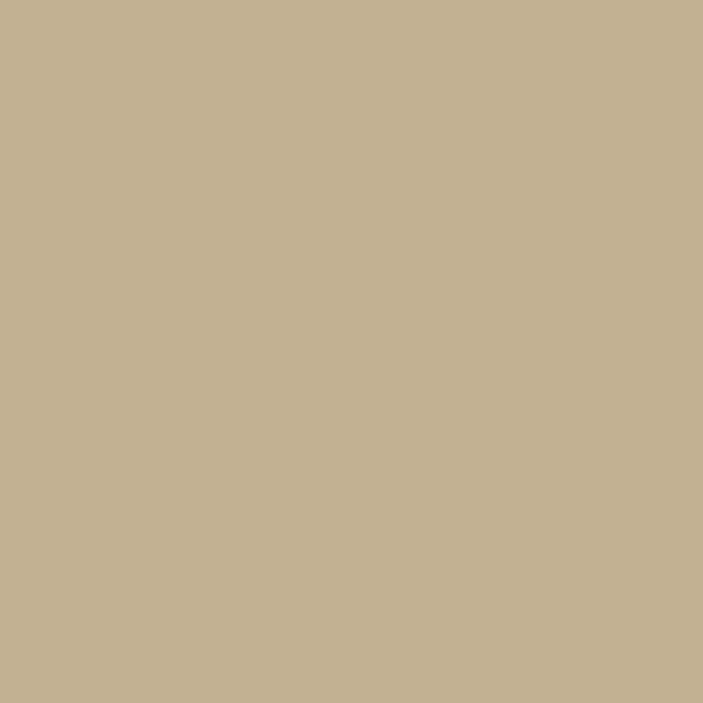 a flat tile of warm beige-grey paint
