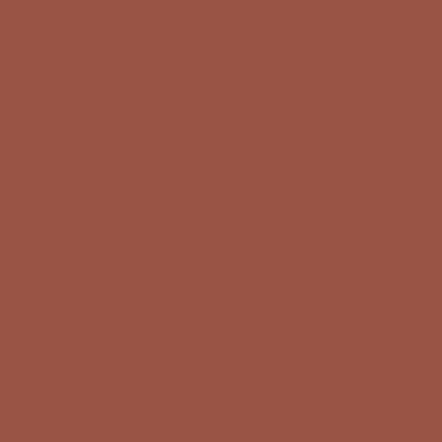 a flat tile of warm red-brown paint