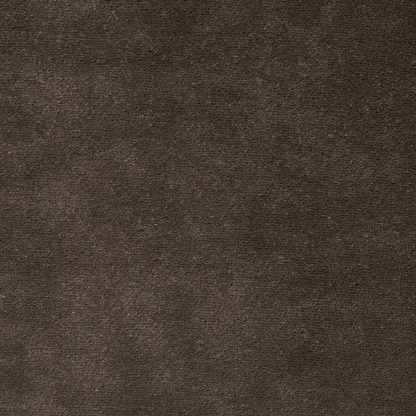 Deep cocoa-brown velvet with a finely mottled, softly light-catching surface