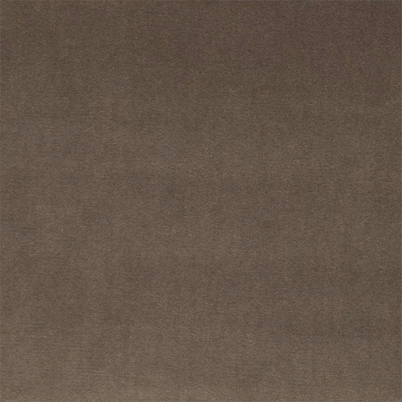Deep mole taupe velvet with a soft directional nap and low sheen