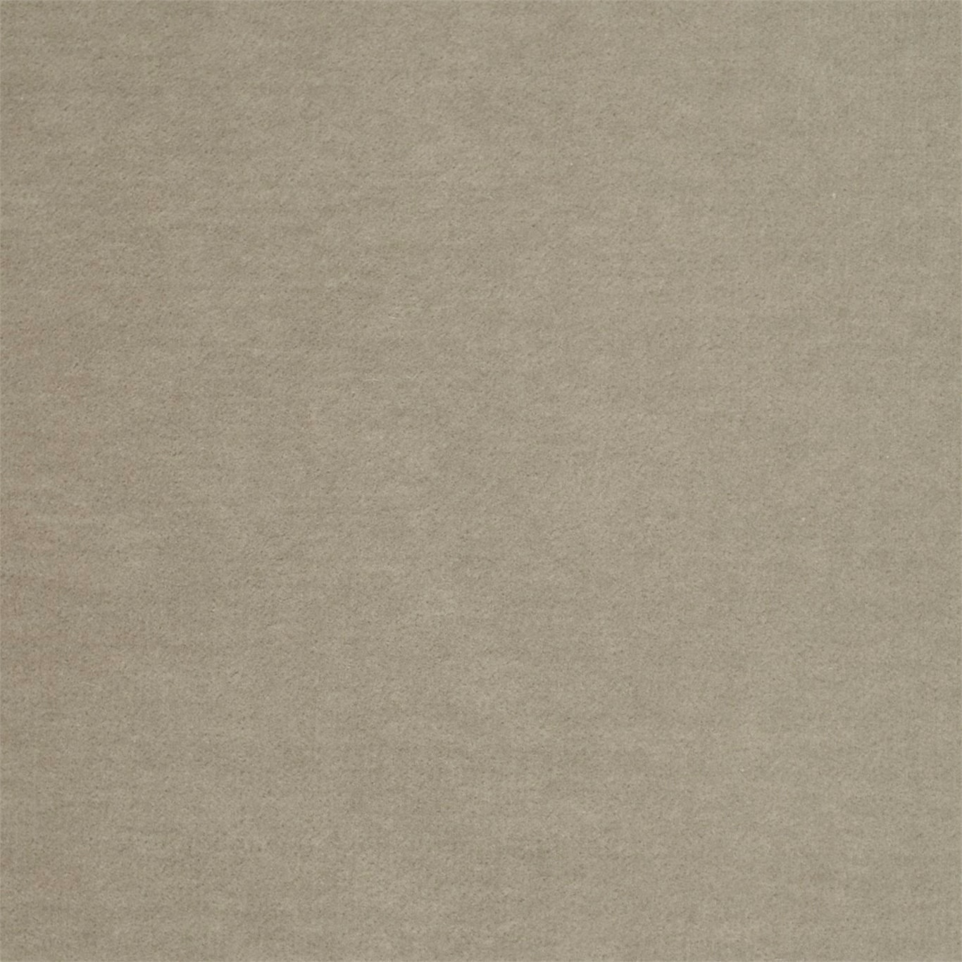 Warm parchment taupe velvet with a softly mottled plain pile catching the light