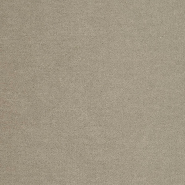Warm parchment taupe velvet with a softly mottled plain pile catching the light