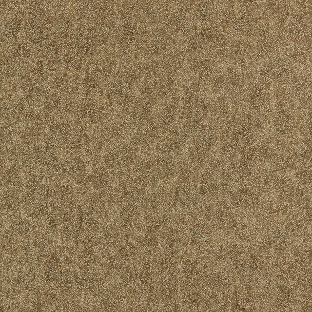 Close view of mottled antique-gold shagreen texture with softly varied taupe depth
