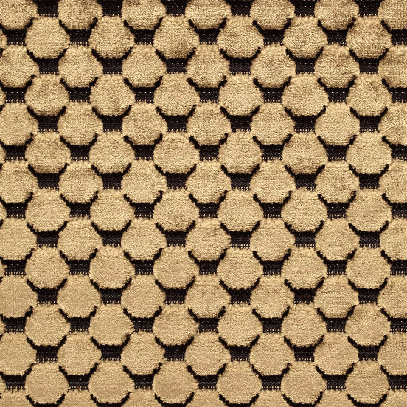 Old-gold raised geometric spots on a richly textured carbon velvet ground