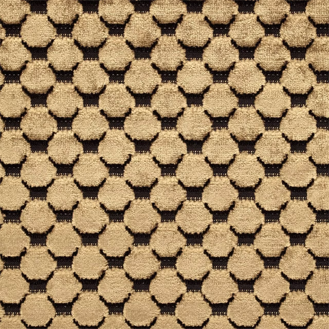 Old-gold raised geometric spots on a richly textured carbon velvet ground