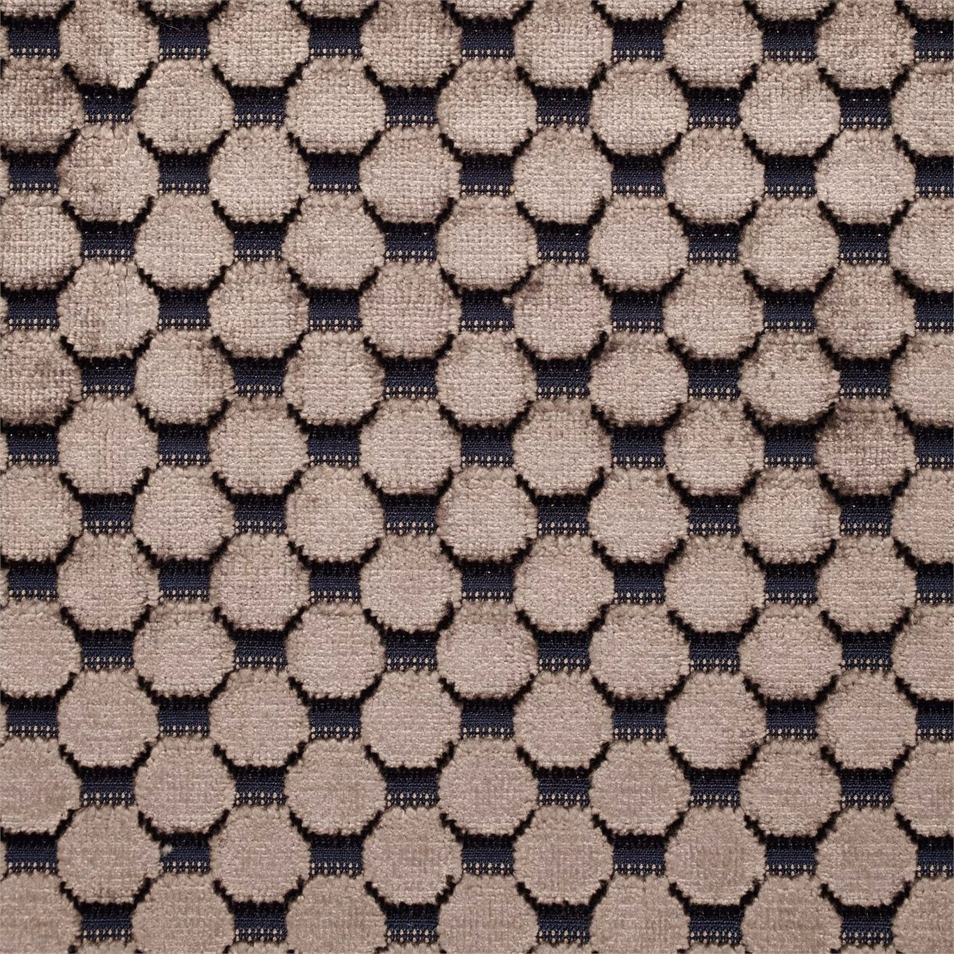 Raised taupe spot motifs over a dark indigo velvet ground