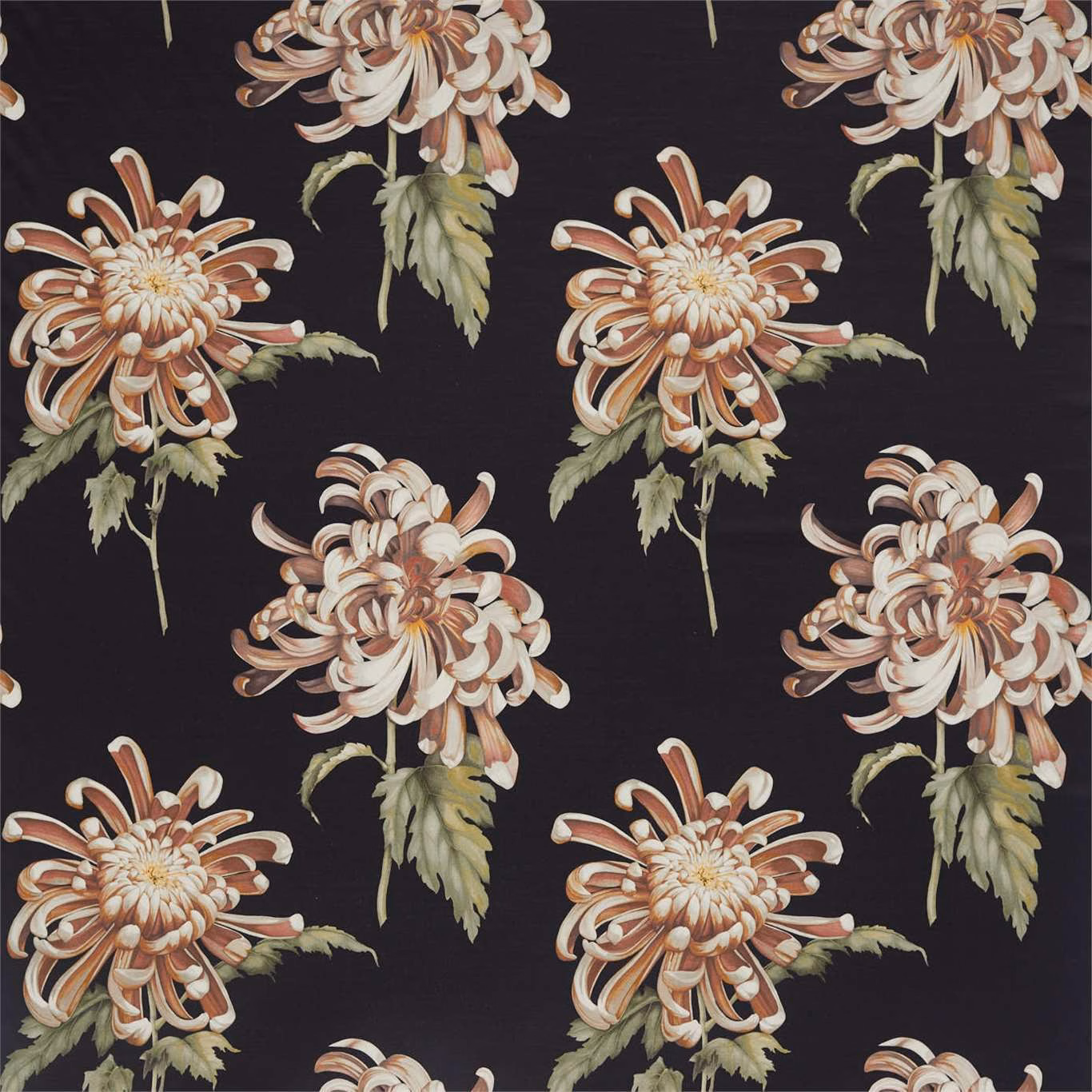 Large ivory chrysanthemums with rust petals and sage leaves on near-black fabric