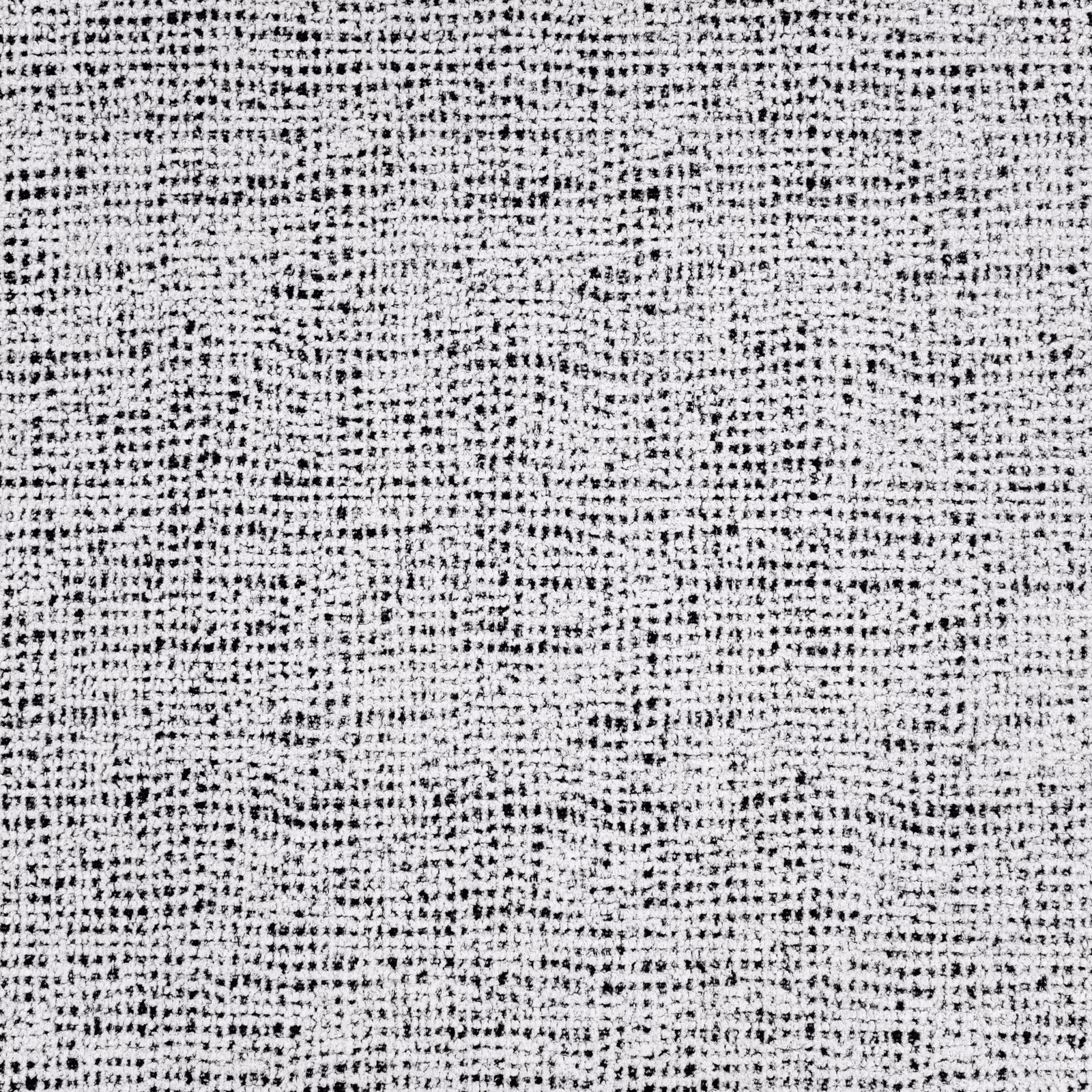 Close-up of Bruce Dalmatian’s peppered black-and-white nubby woven surface