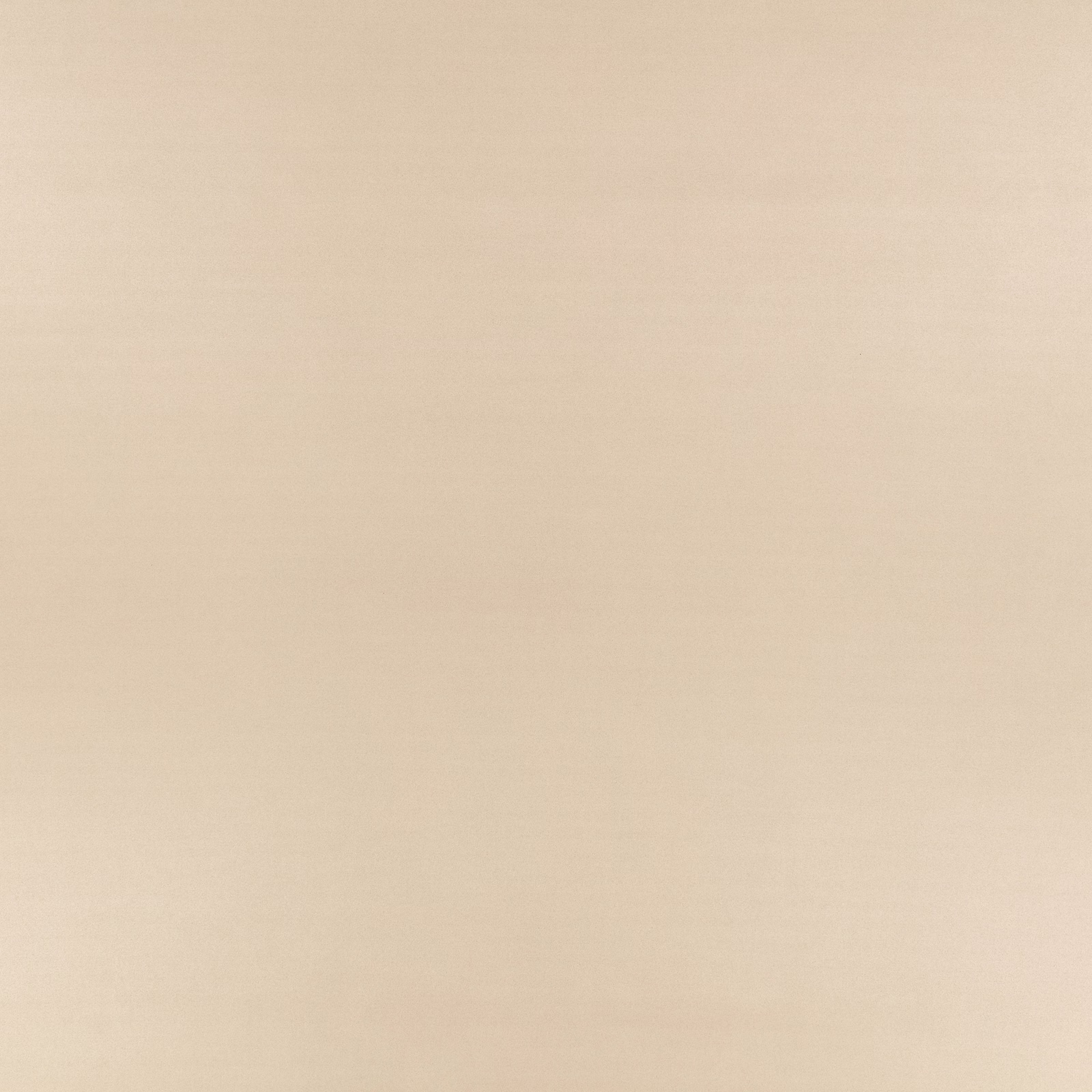 Warm mink-beige plain wallpaper with a softly suede-like, matte surface
