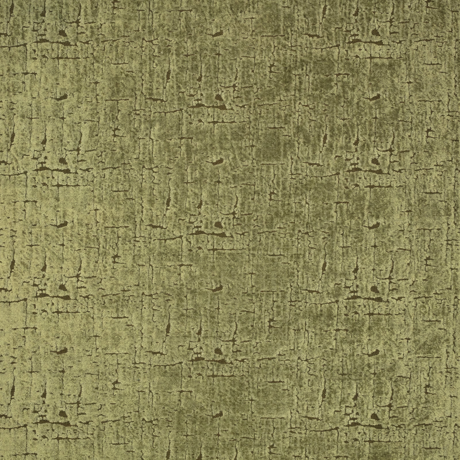 Muted olive cypress textile with distressed crackle texture and dark irregular lines