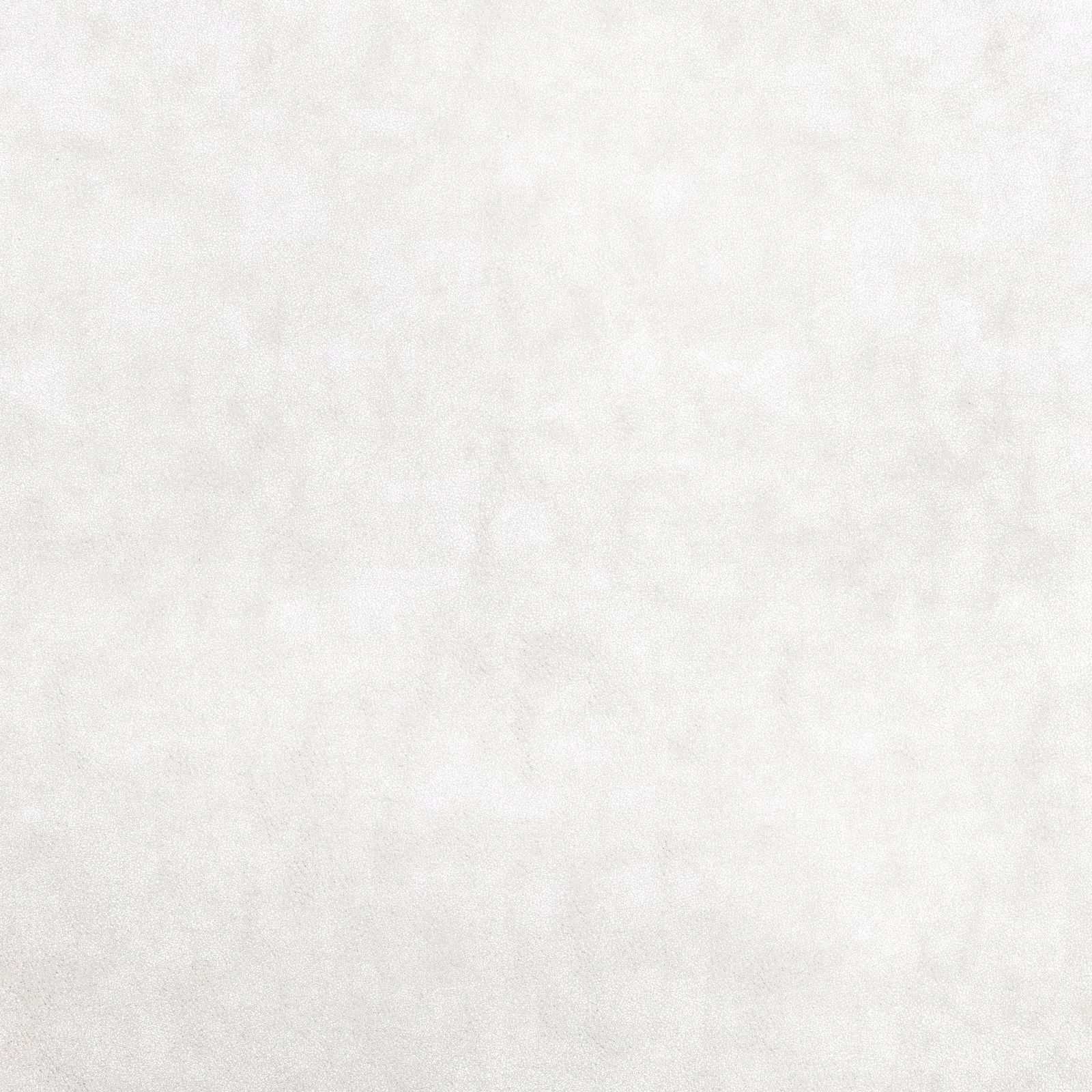 Pale ivory textile with a softly mottled, cloud-like matte surface