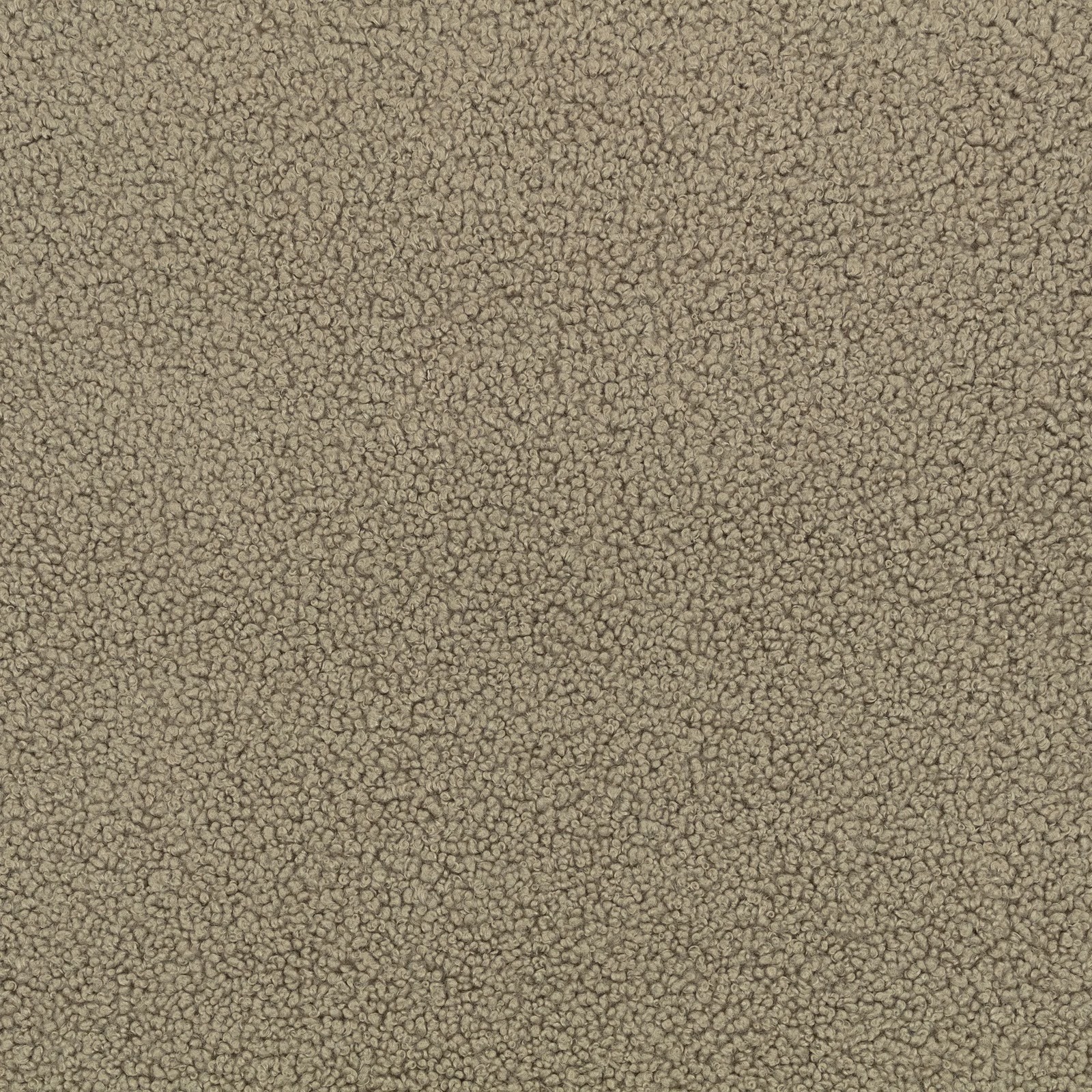 Warm putty taupe fabric with a dense, irregular looped surface