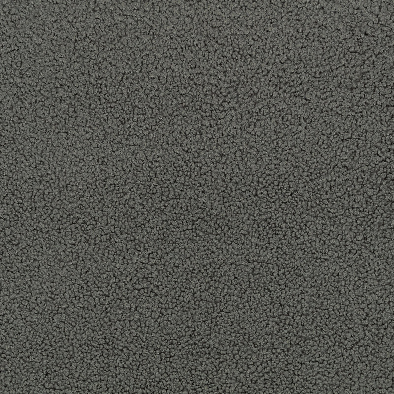 Dark charcoal-grey Drake fabric with a dense, tightly nubbled looped texture