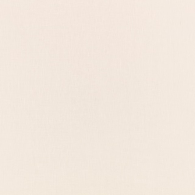 Pale oyster textile with a barely visible, softly slubbed plain weave