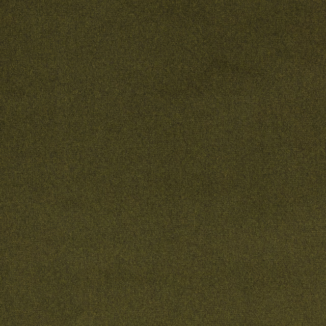 Deep moss olive outdoor fabric with a fine, subtly mottled woven texture