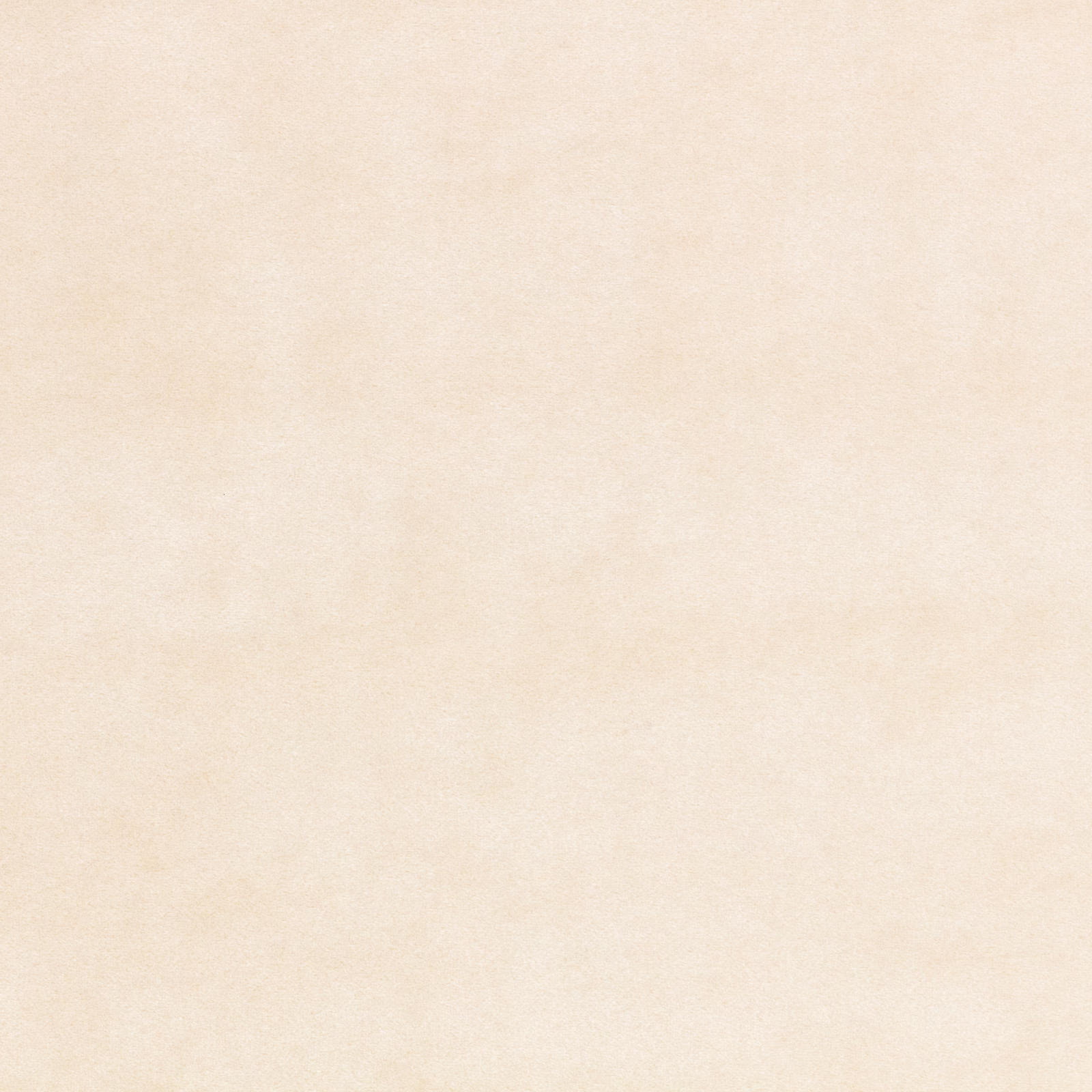 Pale oyster-cream velvet with softly mottled, low-contrast plush shading