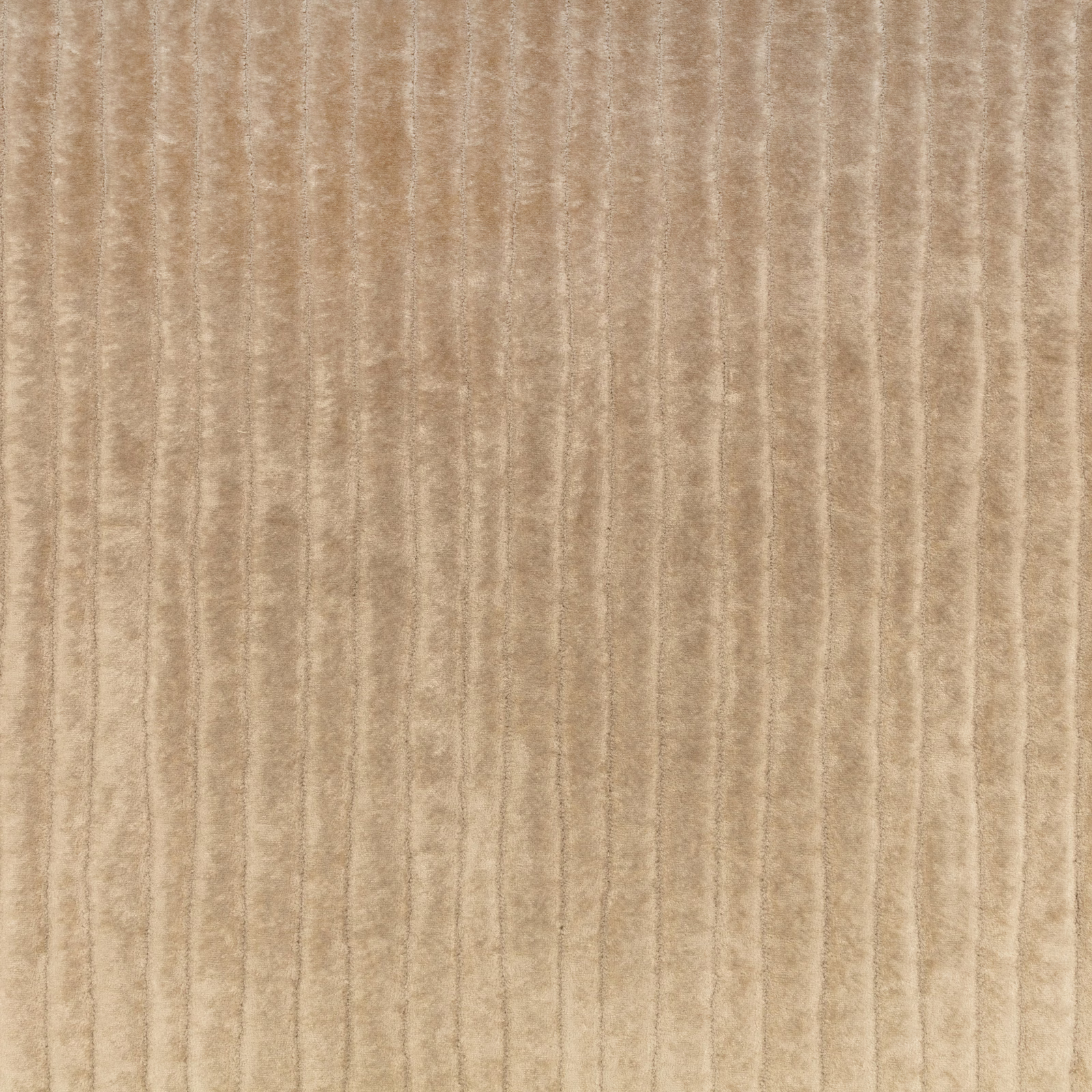 Warm taupe velvet swatch with softly raised, irregular vertical striations