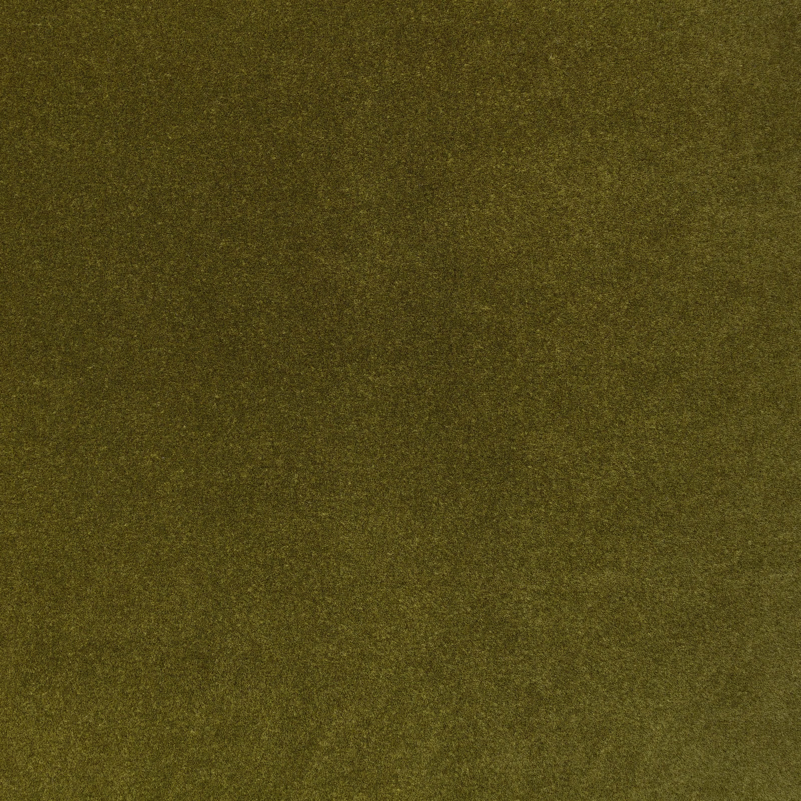 Deep moss olive velvet swatch showing a soft, subtly shifting plush nap