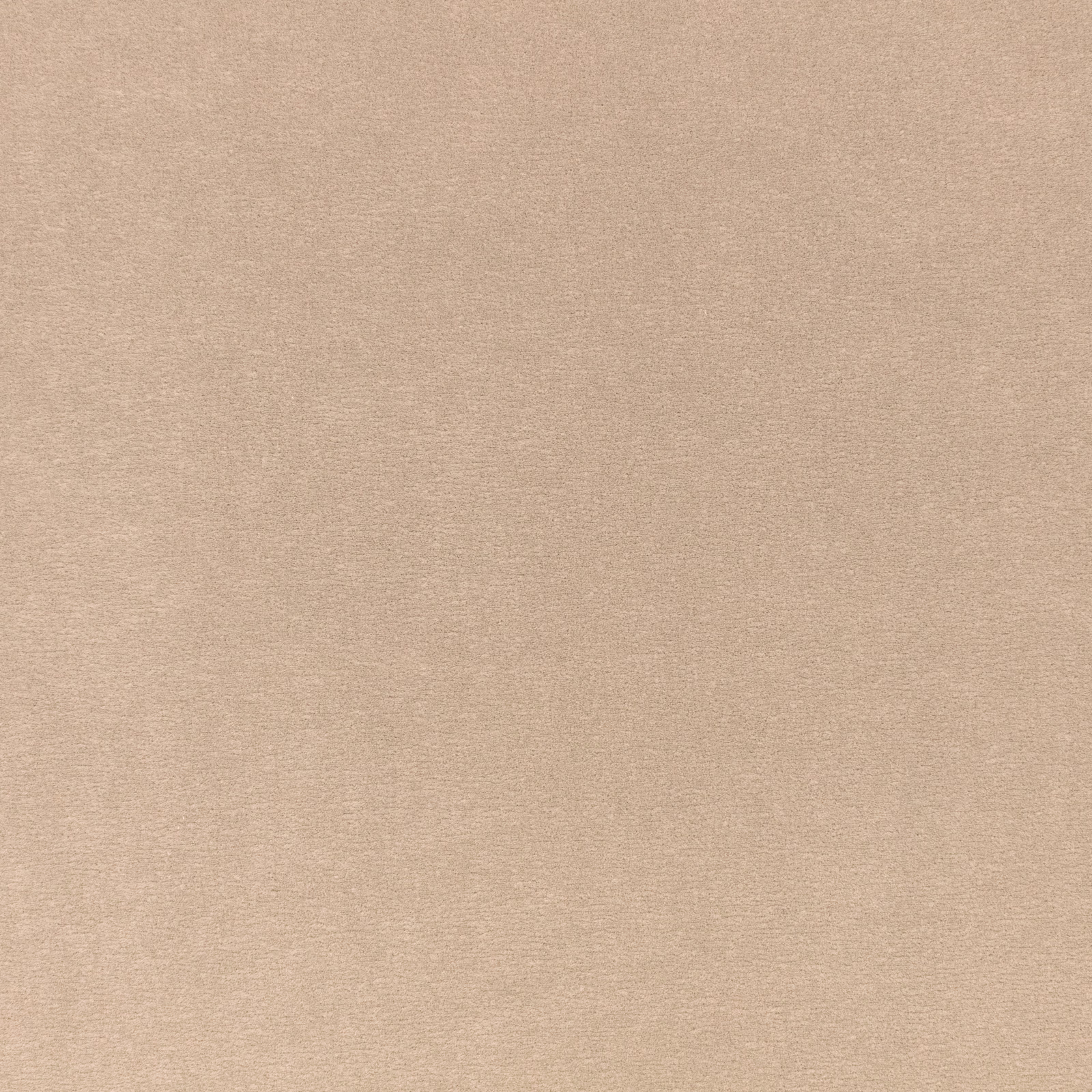 Close-up of warm sandy taupe velvet with a softly brushed, plain textured surface