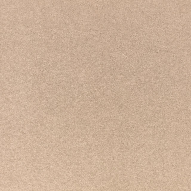Close-up of warm sandy taupe velvet with a softly brushed, plain textured surface