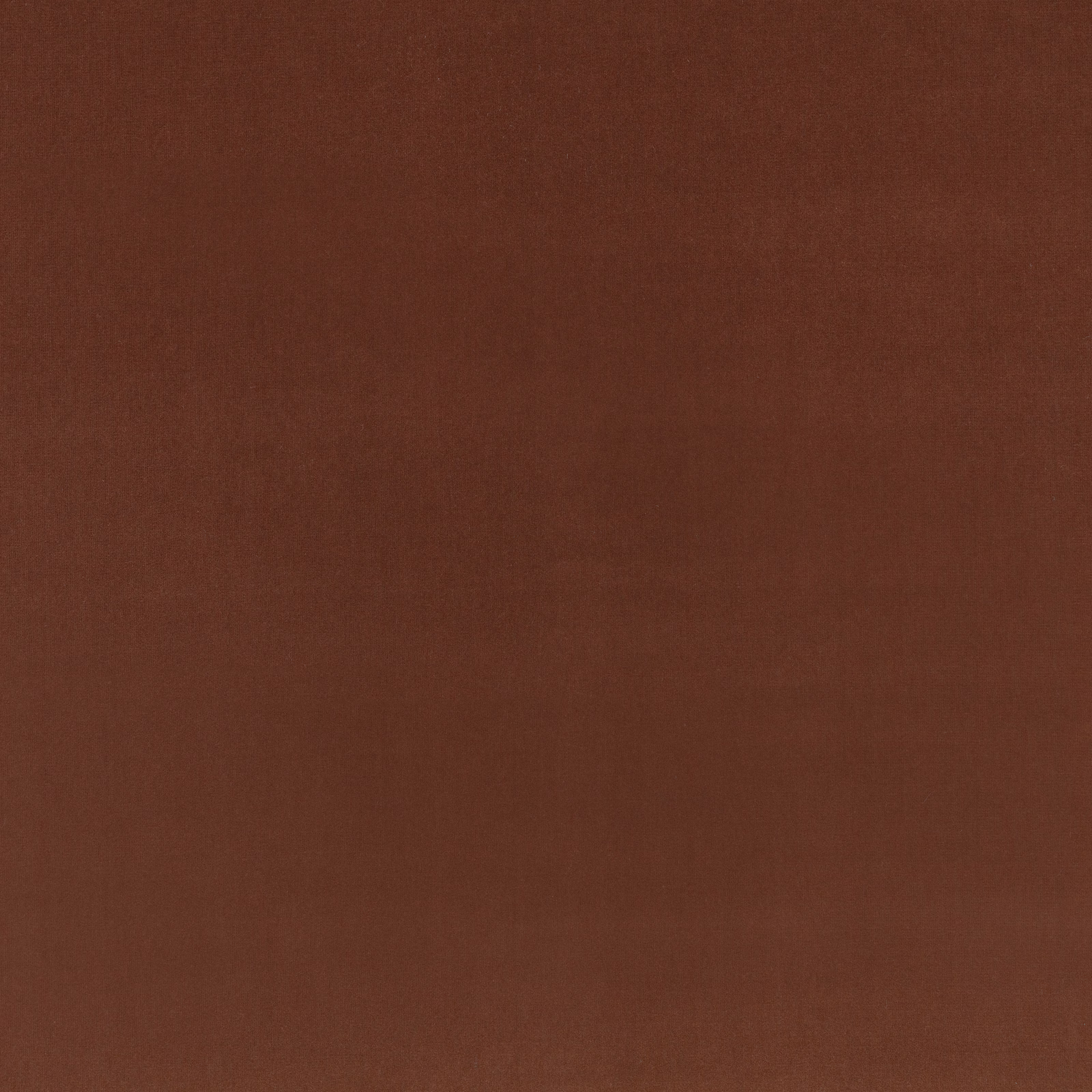 Close-up of warm cognac-brown velvet with a softly brushed, plain surface