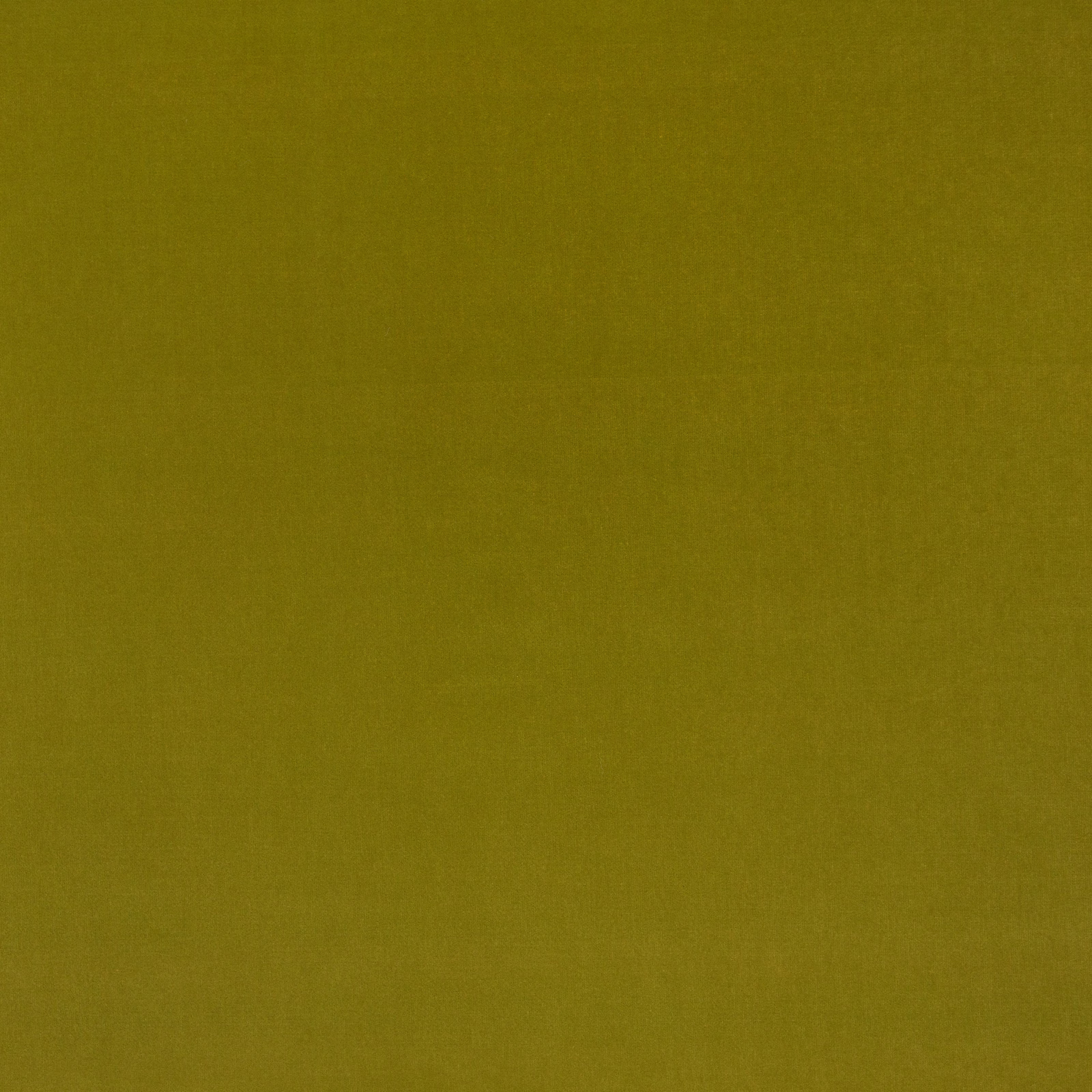 Deep olive-kiwi velvet with a subtly shaded, softly textured surface