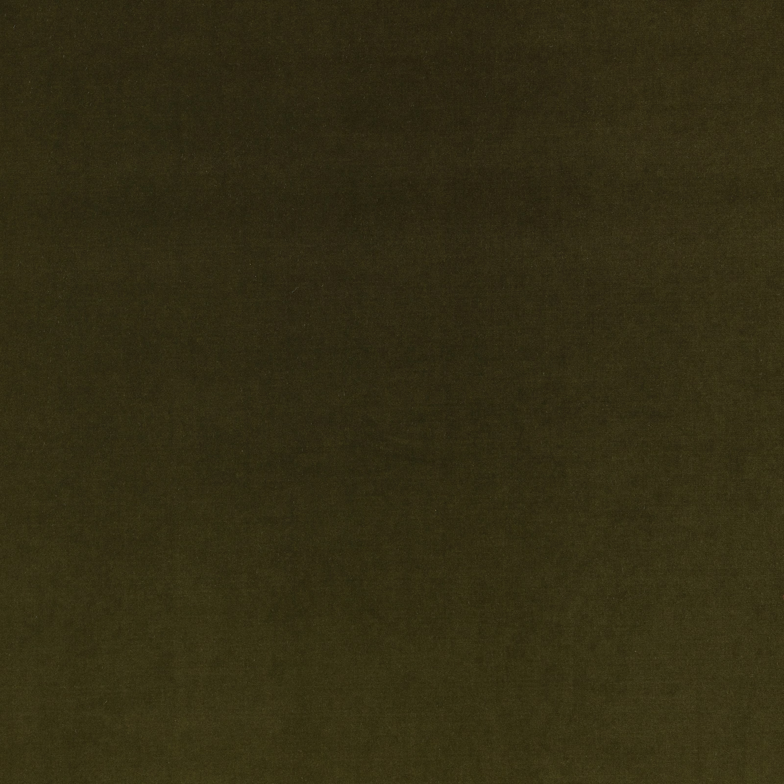 Close-up of deep moss-green velvet showing a dark, softly textured nap