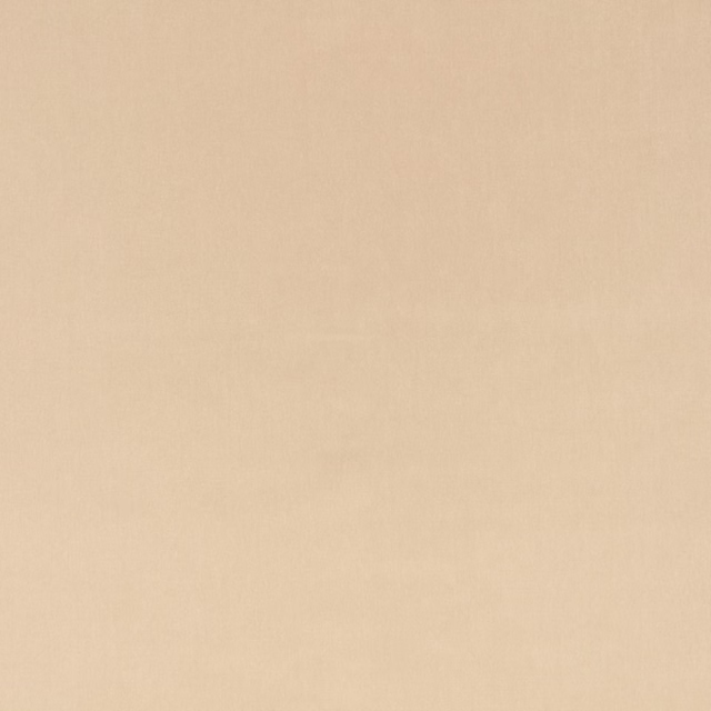 Warm putty-beige velvet swatch with a plain, softly directional nap