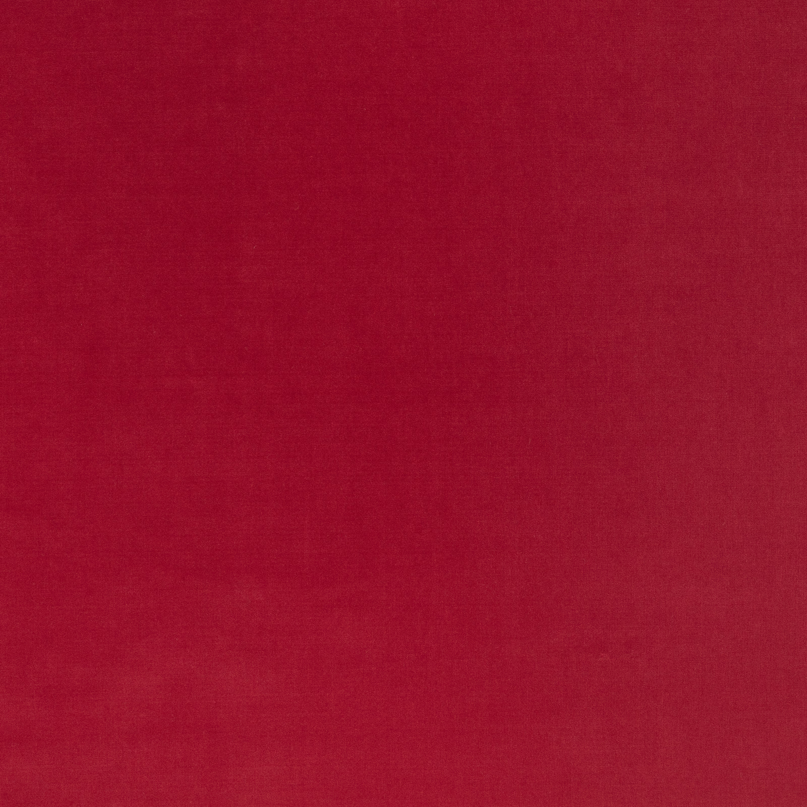 Close-up of saturated raspberry-red velvet with softly directional plush pile